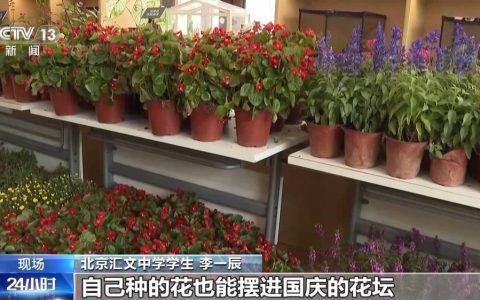 为祖国献礼 北京市民培育的850盆鲜花将亮相长安街