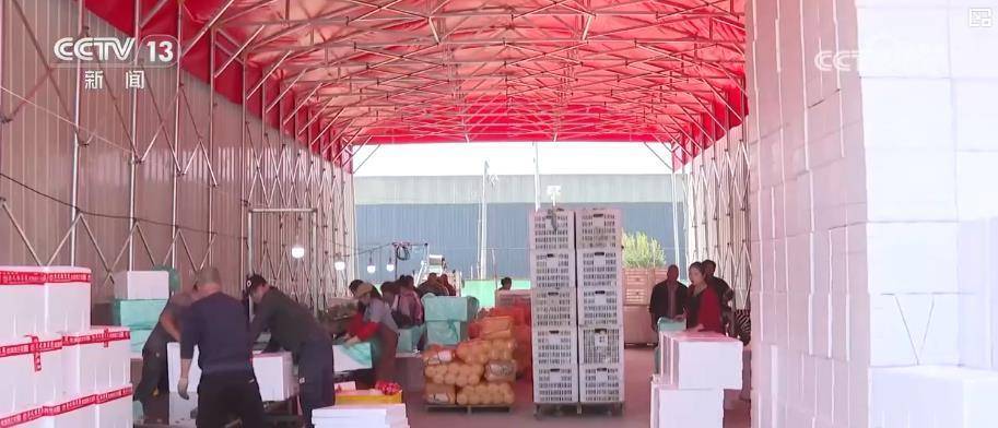 我国人均粮食占有量500公斤夯实根基 多元化食物供给丰富“吃好”选择插图8