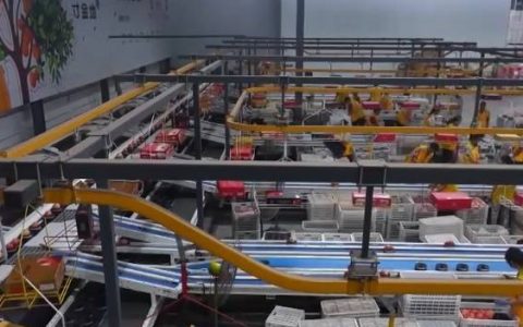 “甜蜜产业”出海“闯世界”圈粉无数 透过大数据解锁消费新趋势