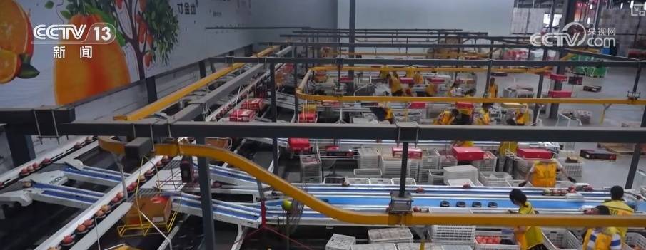 “甜蜜产业”出海“闯世界”圈粉无数 透过大数据解锁消费新趋势插图