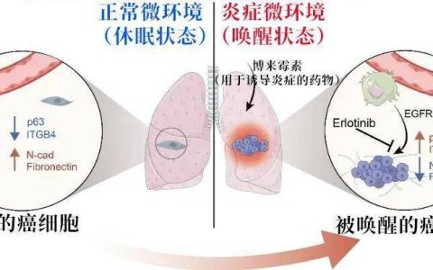 长期炎症会“唤醒”癌细胞！这份抗炎指南每个人都该看看