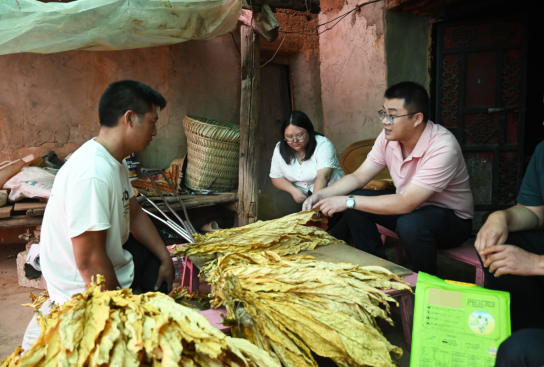 舒普氏暖心公益走进乌东德镇，从“头”呵护烟农健康！插图26
