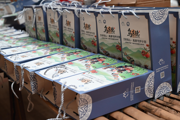 舒普氏暖心公益走进乌东德镇，从“头”呵护烟农健康！插图12