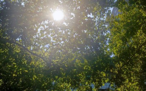 官宣：西安已正式入秋！