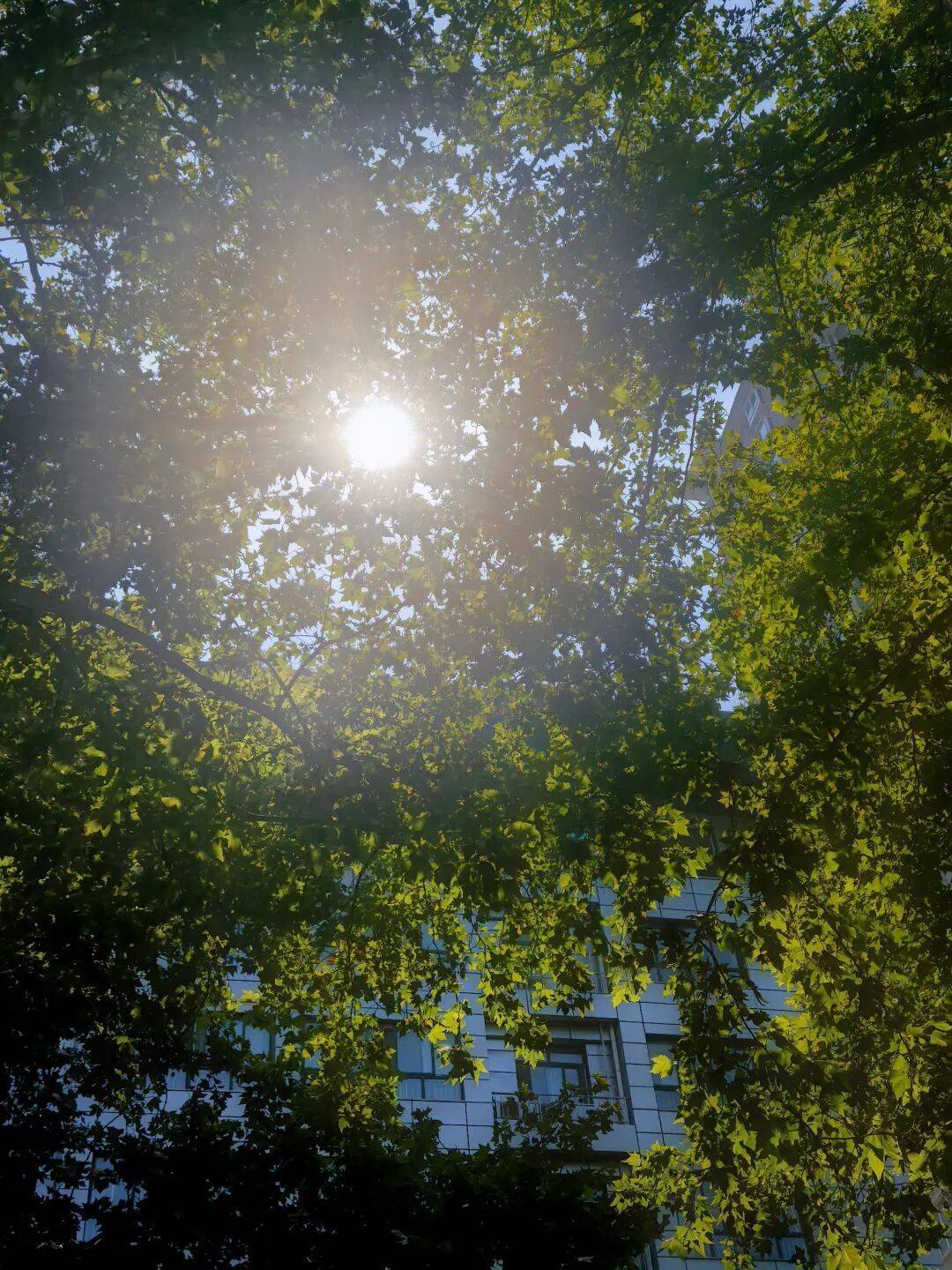 官宣：西安已正式入秋！插图