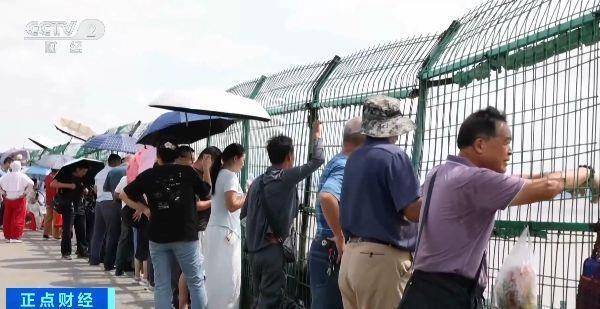 有机会形成“双潮叠加” 今年钱塘观潮不用等到八月十八插图