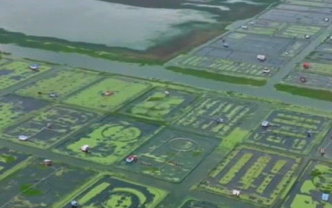 阳澄湖大闸蟹今日正式开捕 今年换上新版身份证 双重防伪！