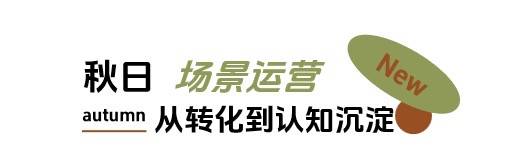 秋日「焕」新，上新研究所应季新品营销新解法插图28