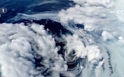 如何应对超强台风？这份指南请查收→