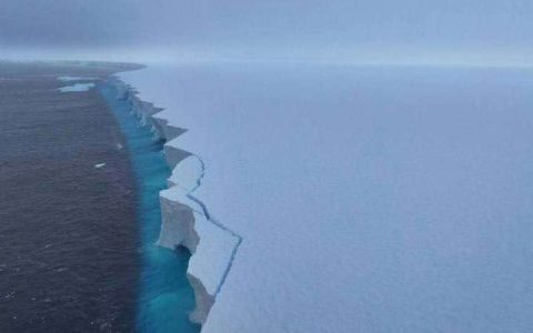 全球最大冰山三个月内面积减少超过三分之一