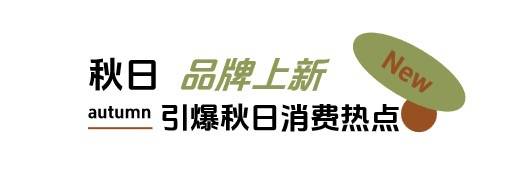秋日「焕」新，上新研究所应季新品营销新解法插图8