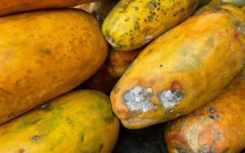 “最脏水果”第一名，小心一口就中招！很多镇江人都爱吃