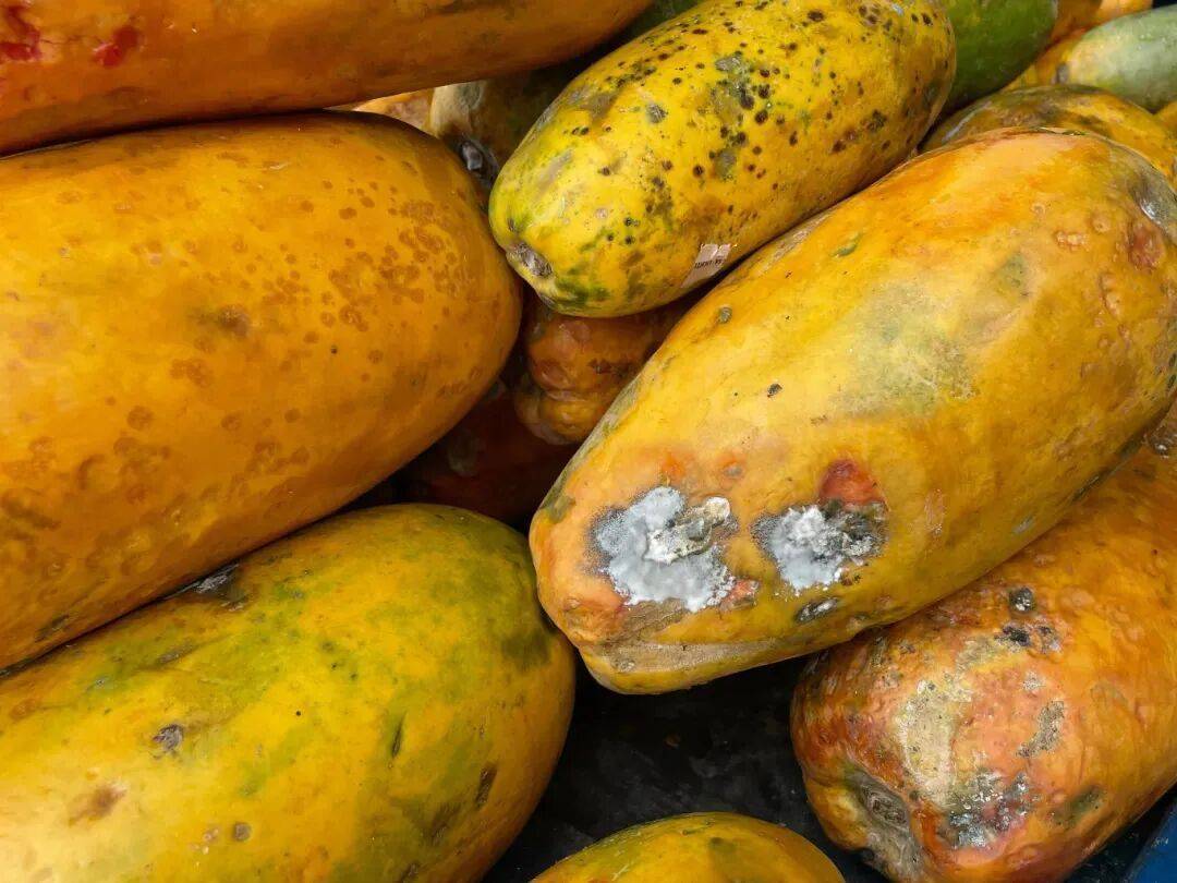 “最脏水果”第一名，小心一口就中招！很多镇江人都爱吃插图