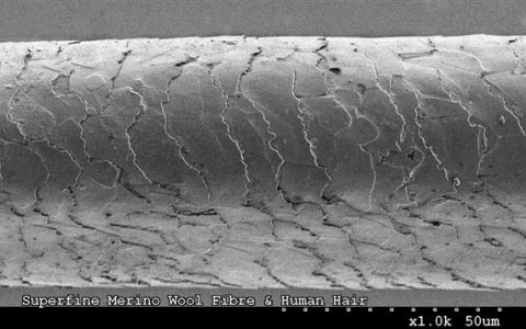 洗完头是自然风干好 还是用吹风机吹干好