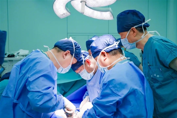 西安一猪肾移植者已存活超200天！刷新亚洲纪录插图