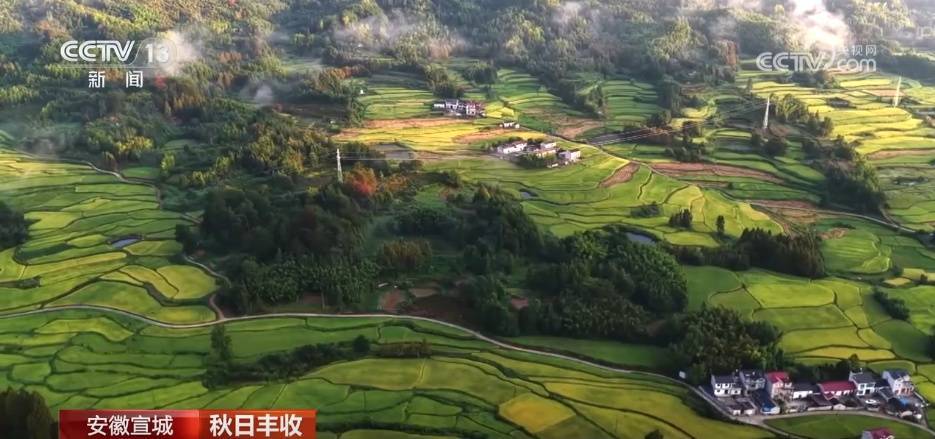 特色产业绘就乡村振兴新图景 希望的田野上一派秋日好“丰”景插图