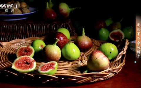 这种“生命之果”现在吃正好！秋季“养生明星”，它是肠道的“清洁工”