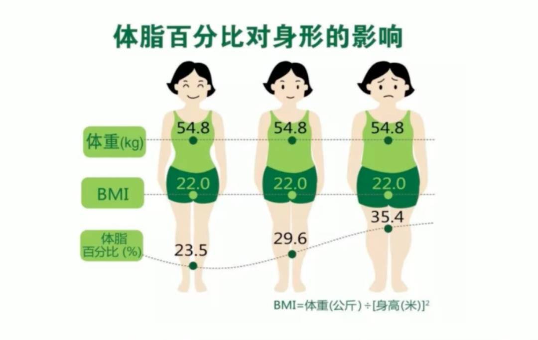 这种身材可能比肥胖更糟糕！小心糖尿病、心梗、脂肪肝、骨质疏松“找上门”插图2