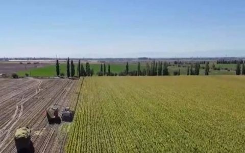 “指尖轻触”智慧耕作 “科技护航+精准服务”夯实秋粮丰产基础