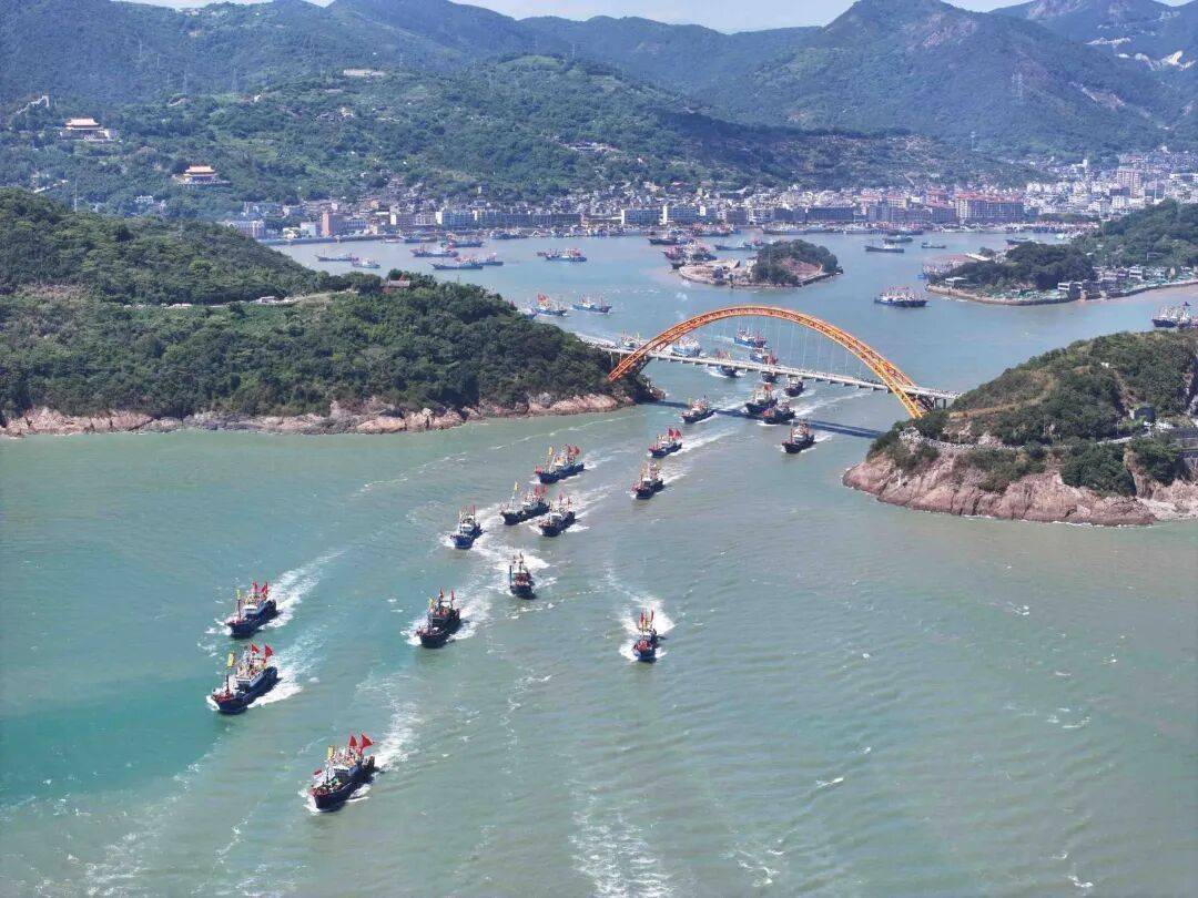 全面开启！预计降价20%！浙江人最快今天能吃上插图