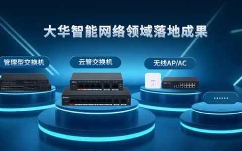 大华股份智能网络落地成果荣获物联网领域十大科技进展