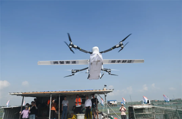 开湖！第一篓阳澄湖大闸蟹由顺丰无人机捞起插图