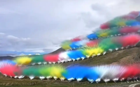 环保专家正清理烟花秀现场紫铜等物：初步判断遭到破坏面积不大