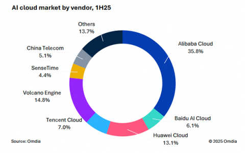 中国AI云市场阿里云占比35.8%位列第一 高于2到4名的总和