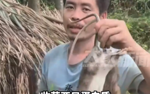 90后小伙荒野求生夺冠 终获10万奖金 70天瘦了31斤 每顿饭都会吃点老鼠