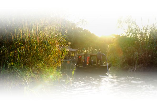 吃蟹吧，就现在！插图50