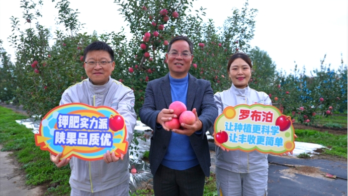 《种植前线》优培甜蜜果，映红丰收路，罗布泊品牌书写陕西苹果生金记插图8