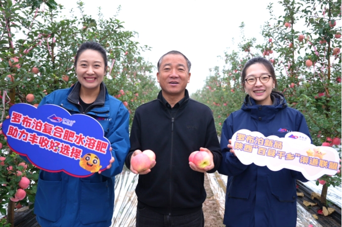 《种植前线》优培甜蜜果，映红丰收路，罗布泊品牌书写陕西苹果生金记插图16