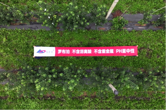 《种植前线》优培甜蜜果，映红丰收路，罗布泊品牌书写陕西苹果生金记插图14