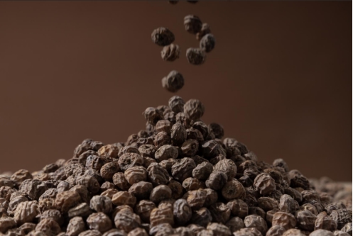 新疆农发集团与新农垦集团等单位签约 成立油莎豆产业联盟插图12