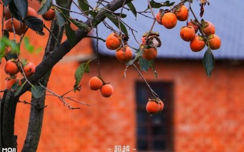 节后“秋乏”找上门？墨迹天气用科学指南为你精准“提神”