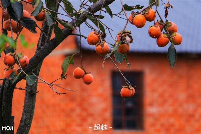 节后“秋乏”找上门？墨迹天气用科学指南为你精准“提神”插图