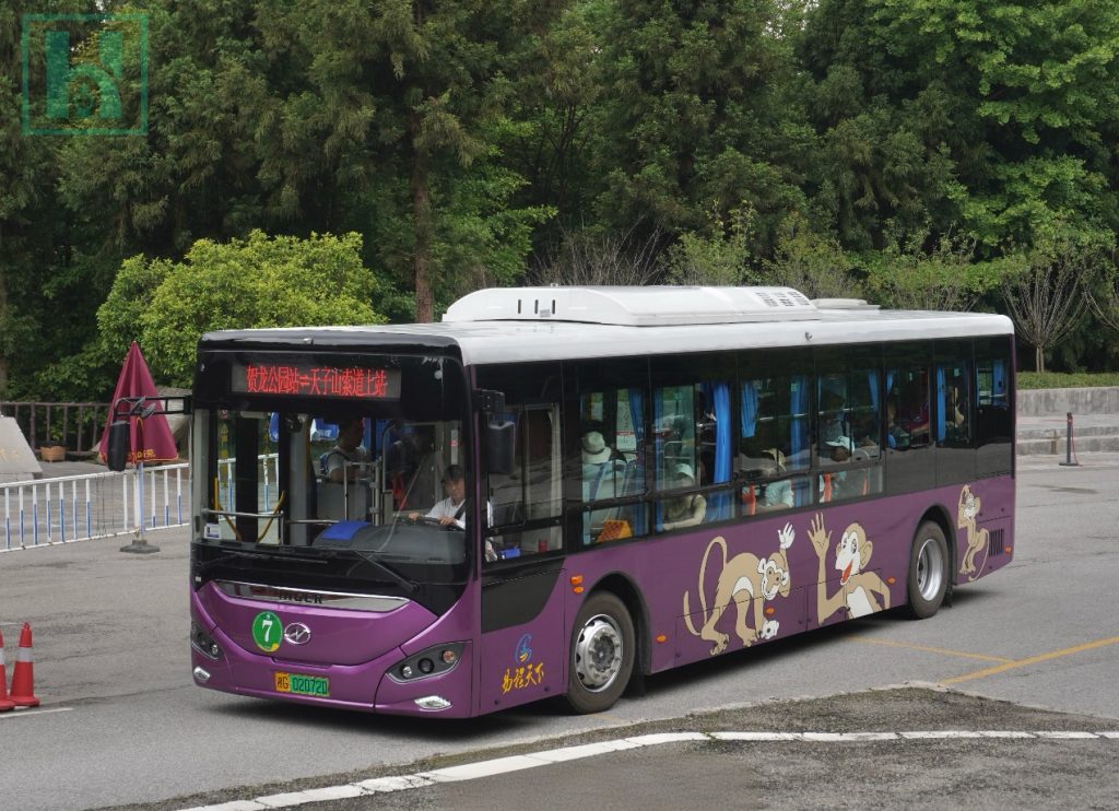 圆满护航双节出行！苏州金龙海格客车见证文旅复苏活力画卷插图6