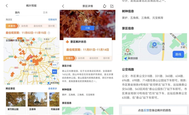 寻枫有指南,墨迹天气“枫叶预报”助你轻松赏秋插图2