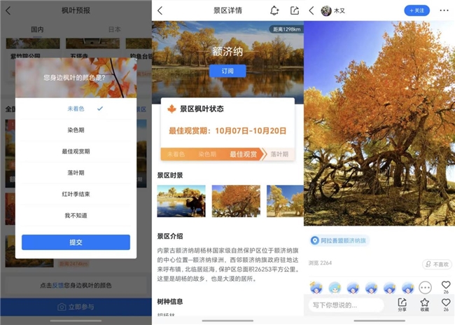寻枫有指南,墨迹天气“枫叶预报”助你轻松赏秋插图6