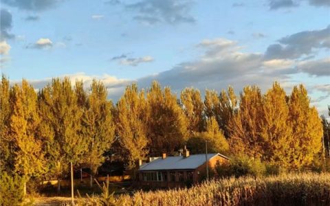 应对降温健康三大挑战 墨迹天气让气象数据成为“健康守护屏障”