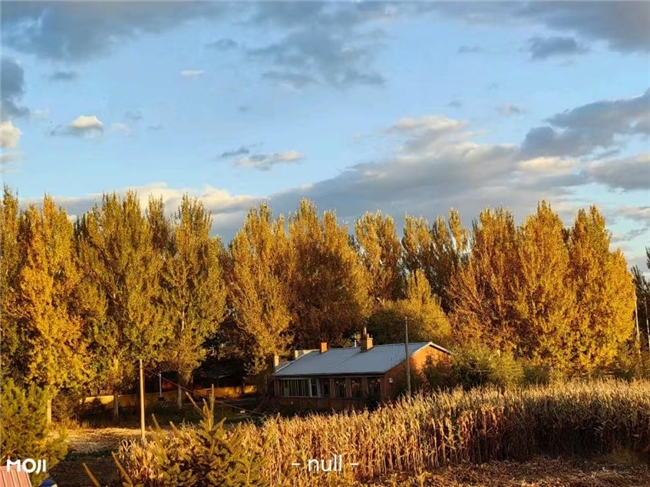 应对降温健康三大挑战 墨迹天气让气象数据成为“健康守护屏障”插图