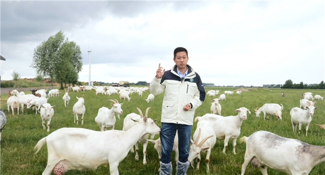 不想宝宝便秘、嗯嗯困难？参考不上火的奶粉排行选佳贝艾特悦白准没错插图2