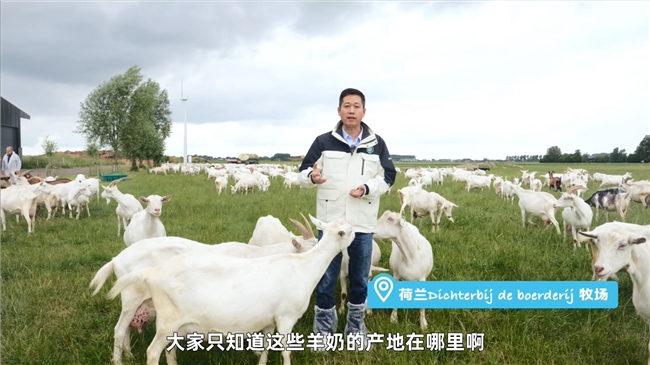 有机奶粉和普通奶粉的区别在哪？以佳贝艾特晶绽为例，看完秒懂怎么选奶粉插图2