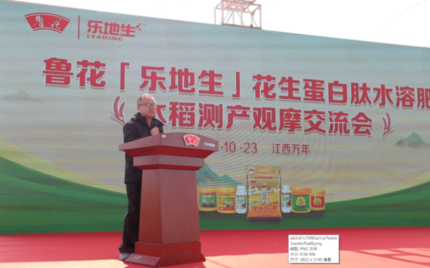 鲁花“乐地生”花生蛋白肽水溶肥水稻测产观摩会在江西万年举行插图2