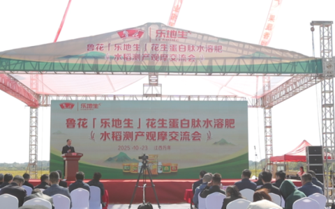 鲁花“乐地生”花生蛋白肽水溶肥水稻测产观摩会在江西万年举行