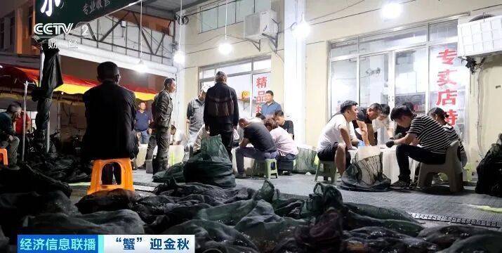 平均月入20000元！“金牌挑蟹师”这个职业近期缺口大！插图4