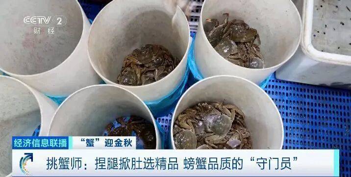 平均月入20000元！“金牌挑蟹师”这个职业近期缺口大！插图2