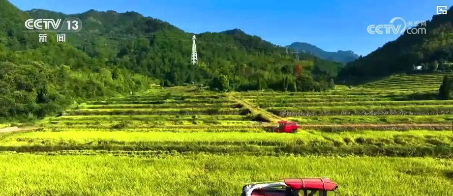 秋粮收获关键期：供电专项服务助力筑牢粮食产后安全线插图