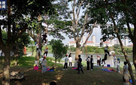 “爬树”也能修学分？这所高校的“攀树课”一课难求！