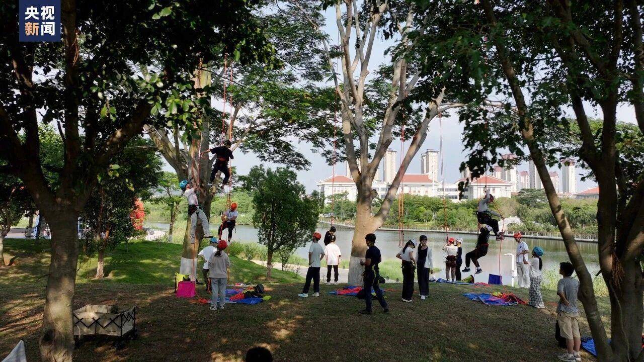 “爬树”也能修学分？这所高校的“攀树课”一课难求！插图